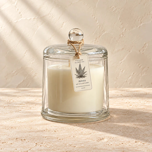 Moss | Oak Moss & Amber | Ember Cloche candle styled on a warm ivory background